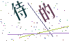 看不清楚，换一张